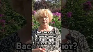 Вас обижают? Формула ответа. Применяйте! #психология #самооценка #критика #уверенность #ктоя #shorts