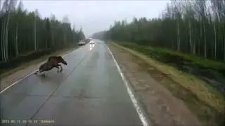 гололед