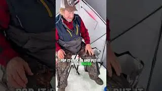 No more cold hands, wrists, and arms this ice fishing season! Check out the Bait Caddy minnow bucket