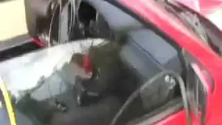 Red Car goes to Costco, LAX, and back to spawning ground