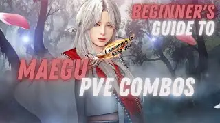 BDO - Understanding Maegu PVE Combos + Add On Combos 