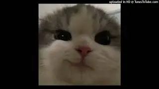 best part - (sped up + reverb)