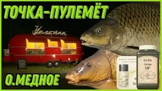 ТОЧКА-ПУЛЕМЁТ | Отличный ФАРМ без ПВА на Медном | Русская Рыбалка 4
