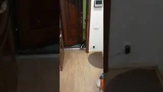 Возвращение блудного сына)