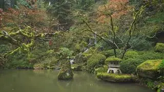 Oregon Moment Of Zen: Portland
