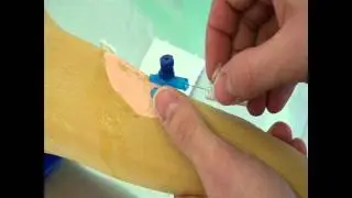Performing an intravenous injection on a canine paw simulator model