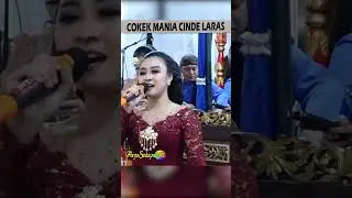 manis sinden ayu dyajeng candra #cindelarasterbaru #cokekmania #sragenan