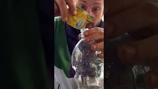 Так заканчивались каждые посиделки. Кто самый выносливый. 