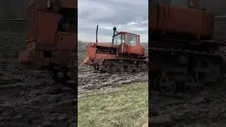 ДТ-75 БОРОНИТ ЦЕЛИНУ.