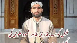 THAIR ALVI NATT