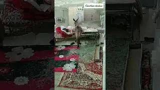 NE İLGİNÇ HAYATLAR VAR :)