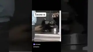 ИНФАРКТ жомпки