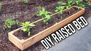 How to Build a Simple DIY Raised Bed Veggie Garden!