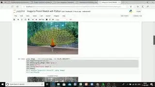 Image to Pencil Sketch with Python|Machine Learning|Python|Data Science