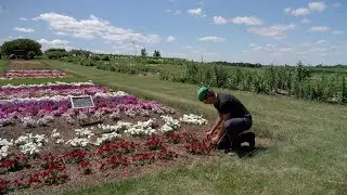Wisconsin Student Summer Life - Drew Benish