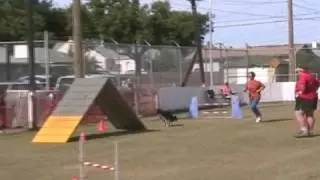Jesse in Steeplechase