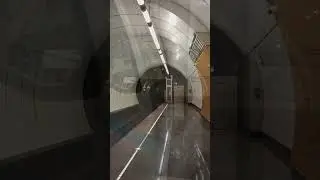 Поездятина