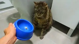 COSTUMBRES DE COMER Y DORMIR