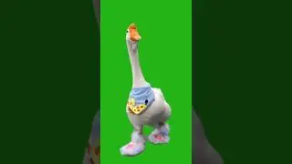 Green screen duck 