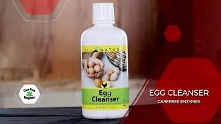 Egg Cleanser from CareFree Enzymes