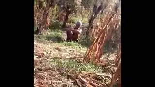 Berburu dan meramu