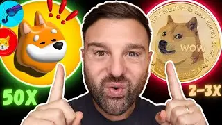 🚨 Memecoin Season JUST STARTED!!!! 🚀 Buy Dogecoin now?? | Bonk Coin | Shiba Inu | Snek Token