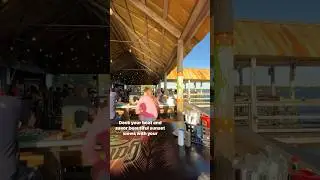 Waterfront Dining at Gator Joe’s Beach Bar & Grill 🐊