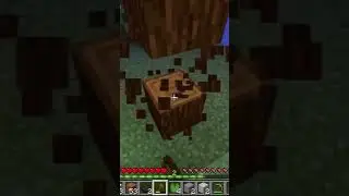 😎Фиксай и акакий 
