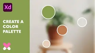 How to Create a Color Palette - UI Design