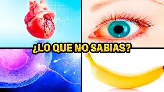LO QUE NO SABIAS HACE 3 MINUTOS