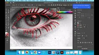 Tracing over an eye in Illustrator (tips & tricks)