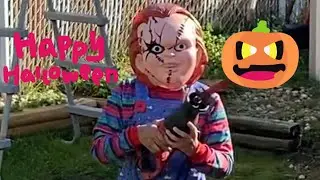 Halloween2021 / pumpkin decorating contest / Trick or Treat