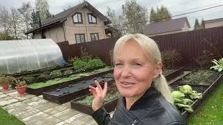 Обзор сада#Сад опустел🌲🍁#Все замерзло🍂#28сентября2024сад#огород#garden#дача#деревня#цветы#