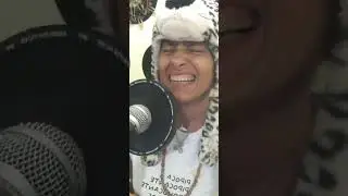 Alegria Alegria alegria improviso  na bossa  byglorinhalattinni