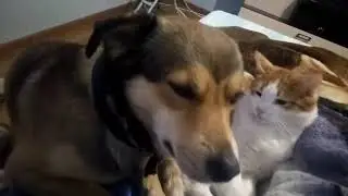 Мам, а чё вы меня ласковыми словами не называете? Какими? Ну, Зая... Бусечка... Заябесечка ты наша🤗😂