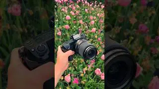 FujiFilm GFX 100SII POV and Sample Photos