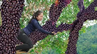 How to harvest coffee fruit and sell at market | Living off grid in forest | Emma daily life