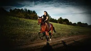 3 Year  - #HeartHorse