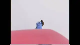 Phone & Puppet
