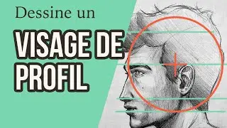 Toutes les étapes pour dessiner un profil facilement avec la méthode Loomis 🙌