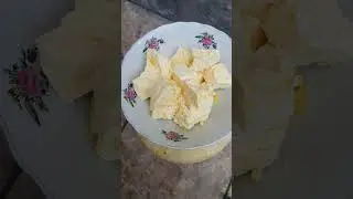 Мощный Дагестанский Весенний Сыр
