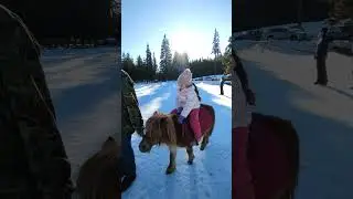 Понито Дилайла на Белмекен! празнична, снежна разходка!!!