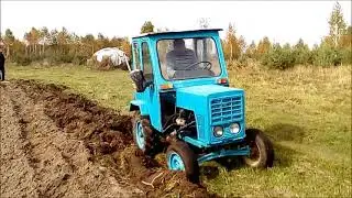 Трактор ЗиД  пашем и Тибетский мастиф. Homemade tractor.