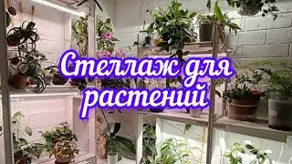 стеллаж для растений