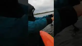 Карась рвет сеть . хороший улов