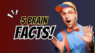 5 Amazing Facts About the Human Brain | MystiCore 🔮