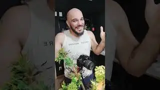 Robô faz isso? Não faz!  