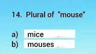 SINGULAR Vs PLURAL Quiz | Choose the Correct Singular vs Plural Form of Words
