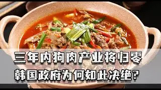 能吃核污水海鲜不能吃狗肉，狗肉产业将归零，韩国为何如此决绝？