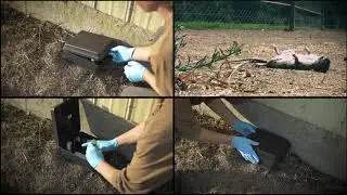 Rodent Control Video - Rodenticide